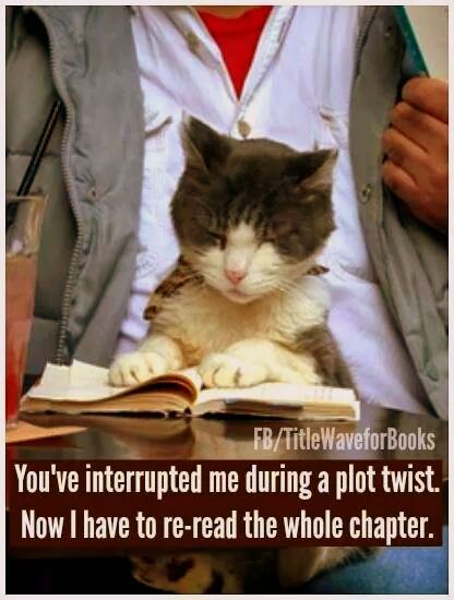 1-IMG_26311134509833