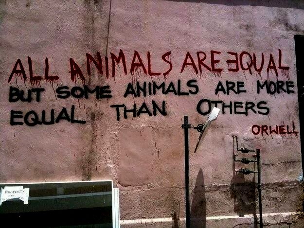 1-IMG_36726167448696