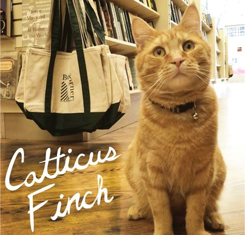 10431697_10203267371426064_416785839394845058_n