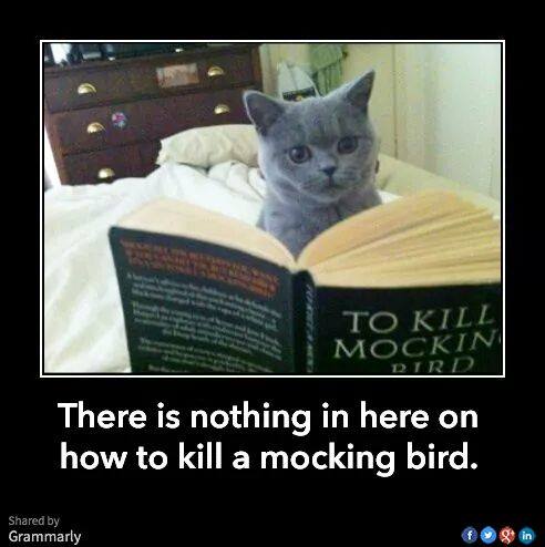 10644447_854146971276511_530930967683065919_n