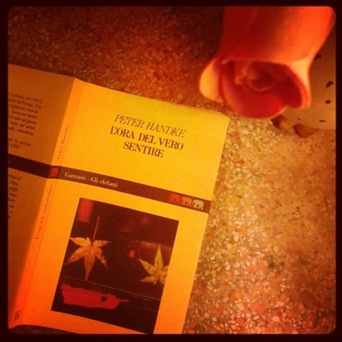 1901638_10205214514347548_160636242653000279_n