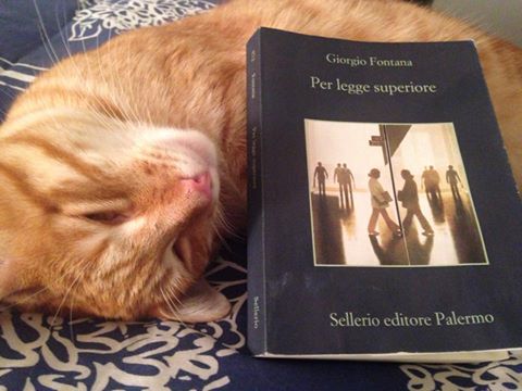 10696192_10205710880477685_3514768891610365351_n