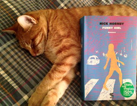 10898301_10205959927743711_2164946967571553866_n