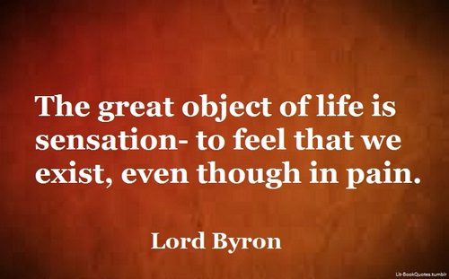The-great-object-of-life-is
