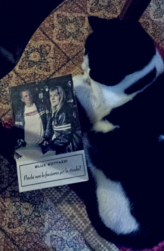 1-2015-02-04 19.46.21