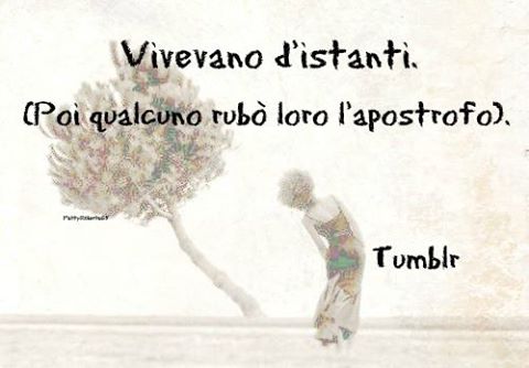 10940998_937708352929047_8464793064360554192_n