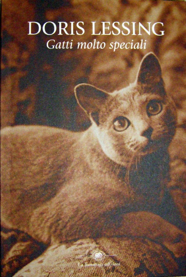 gatti%20molto%20speciali